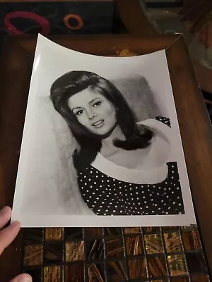 $8.99 • Buy Pamela Tiffin Irving Klaw Archives, Movie Star News Vintage Photo 8x10 1970s #5