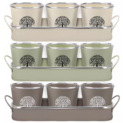 Set Of 3 Tree Of Life Window Plant Pots Metal Garden Flower Herb Seed Planters • £11.95