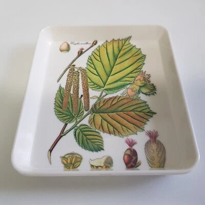 £11.75 • Buy Corylus Avellana Hazel Tree Cone Botanical Illustration Melamine Tip Tray 14cm