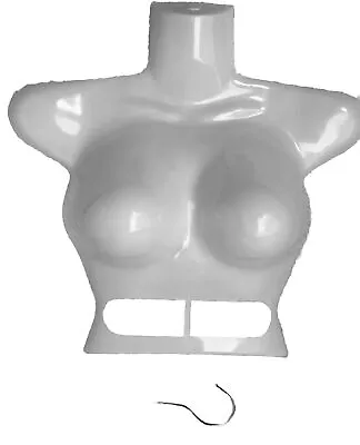 Female Torso Hollow Mannequin Display Bust White Hanging Approximately 15” X 15” • $4.85