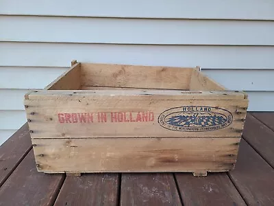 Vintage Wooden Holland Tulip Bulb Crate • $29.99