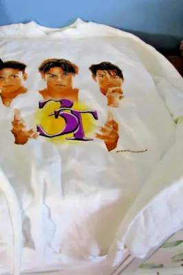 3T (Michael Jackson Nephews) Original Sweater In Size Large (USA) Brand New • $13.19