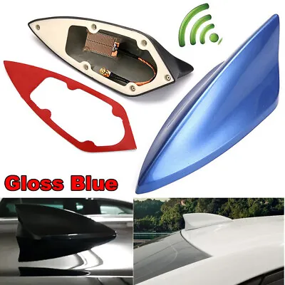£9.11 • Buy Universal Blue Car Shark Fin FM/AM Signal Antenna Roof Radio Aerial Replacement