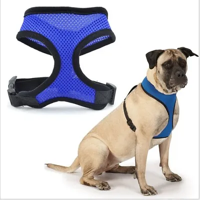 Adjustable Soft Mesh Fabric Dog Puppy Pet Padded Harness Vest Lead Leash Clip  • £3.49