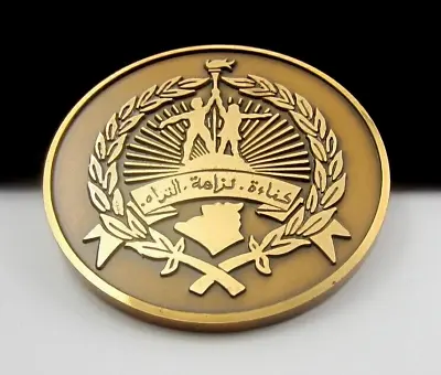 Algeria Sports Olympic Torch Bronze Medal By Bertoni Milano • £27.95