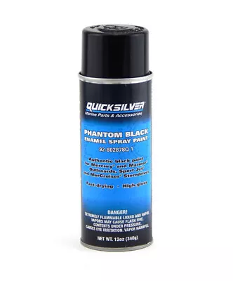 QuickSilver 92-802878Q 1 Mercury Marine Phantom Black Spray Paint • $19.69
