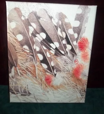 Marjolein Bastin Nature's Sketchbook 8  X 10  Canvas Print FEATHER  • $17