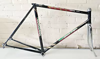 Framework CONCORDE Classic 21 5/16in Vintage Steel Bike Frame • $150.27