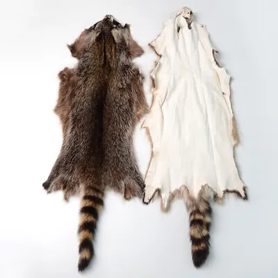 1 Piece Genuine Raccoon Pelts Leather Skin Fur Hides DIY Craft For Hats Clothing • $37.99