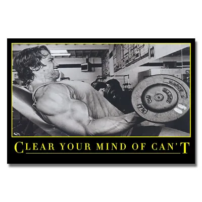 Arnold Schwarzenegger Motivational Poster Fitness Art Picture Print Wall Decor • $15.82