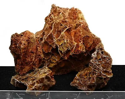 $34.99 • Buy Aquarium Maple Leaf Stone Mixed Size Aquascaping Rocks