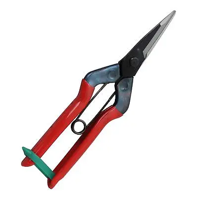 Chikamasa Large Fruit Thinning Shears 195Mm Agricultural Tools T-601K • £32.14