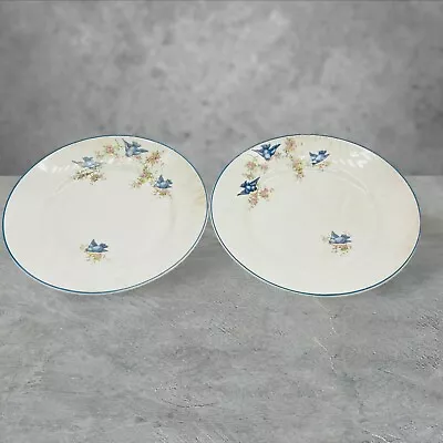 Antique Thompson Pottery Bluebird Dinner 9  Plate LOT Of 2 Plates VTG • $41.99