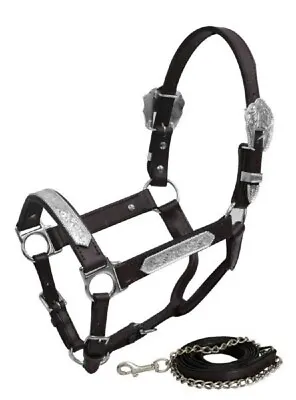 $52.99 • Buy Yearling Size LEATHER SHOW HALTER W/ Engraved Silver 6' Foot Lead Stud Chain