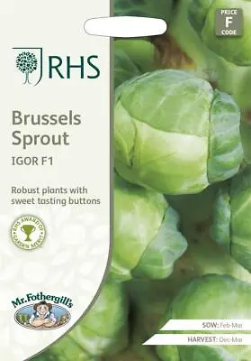 Brussels Sprout Igor F1 30 Seeds    Brussels Sprout Seeds   Vegetable Seeds  F 1 • £2.80