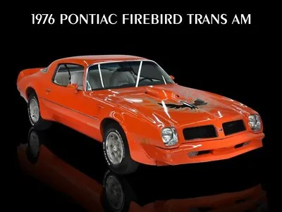 1976 Pontiac Firebird Trans Am NEW METAL SIGN: Mint Condition In Orange • $19.88