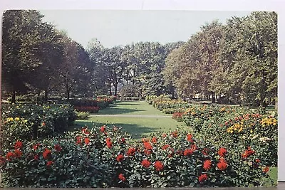 Michigan MI Royal Oak Dahlia Gardens Postcard Old Vintage Card View Standard PC • $0.50