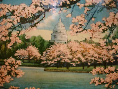 Vintage  Mrs. Steven's Candies TIN LITHO Washington DC Cherry Blossoms Tin Box • $42.95