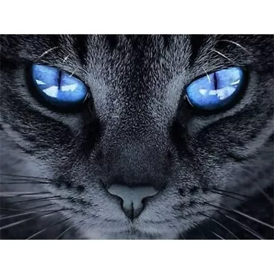 $15.94 • Buy 5D DIY Full Drill Diamond Painting Arts Embroidery Cross Stitch Kits Blue Cat
