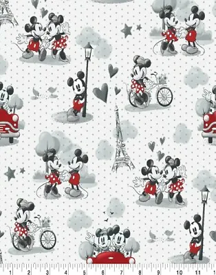 Lined Window Valance 42 X 15 Disney Mickey Minnie Mouse Love Paris Romance  • $22.99