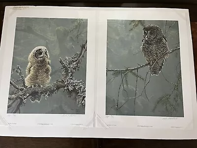 $1986 • Buy Robert Bateman  Artist Proof Continuing Generations Spotted Owls 2 Prints  56/56