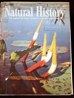 Walt Disney Studio Library Natural History Magazine 1954 Margaret Mead Article • $29