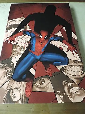 Marvel Giclee Artwork  Fear Itself: Spider-Man #1  Limited Edition 88/99 W/COA  • $190