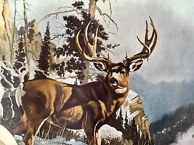 Art Print Signed Dave Wade Of A Mule Deer • $45