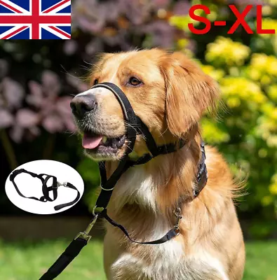 Uk Dog Halter Halti Training Head Collar Gentle Leader Harness Nylon Collars • £7.59