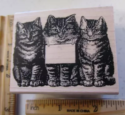 Cat Bookplate Mw Rubber Stamp- Picture Show • $1.99