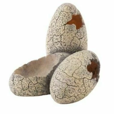 £9.35 • Buy Exo Terra Dinosaur Egg Reptile Hide Out Fossil For Amphibian Vivarium Decoration