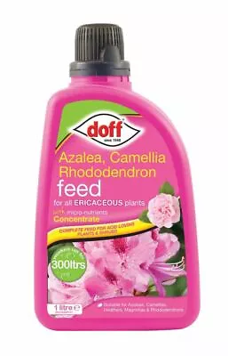 Doff Azalea Camellia Rhododendron Ericaceous Magnolias Plant Food Feed 1 Litre • £7.99