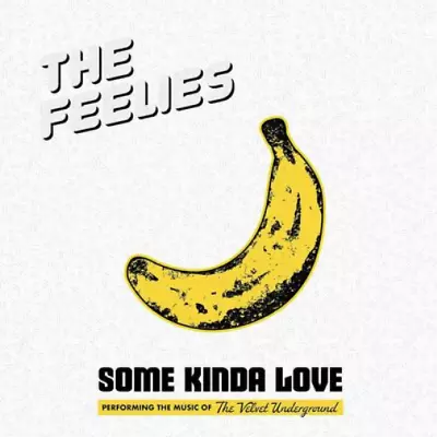 The Feelies Some Kinda Love: Performing The Music Of The Velvet Underground (CD) • $18.92