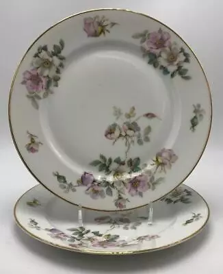 HC349 By Heinrich - H&C 2 Salad Plates 7-3/4  Selb Bavaria Pink & White Blossoms • $24.99