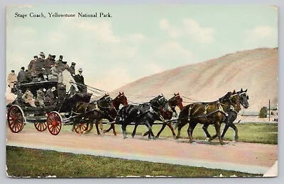 Postcard Horse Drawn Stagecoach Full Of People Yellowstone National Park WY • $3.85