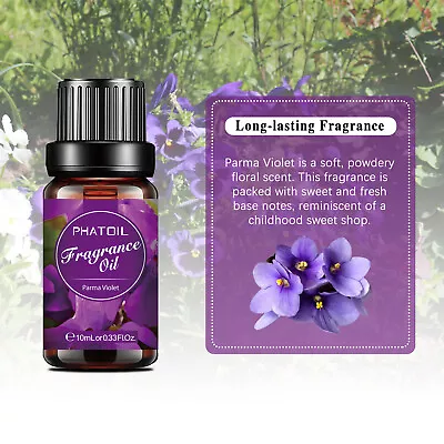 10 ML Essential Oils - Pure And Natural - Therapeutic Grade Oil - Free Shipping! • $5.98