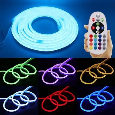 220V DC12V LED Strip Neon Light Sign Rope Lights Controller Waterproof Deco Lamp • $18.90