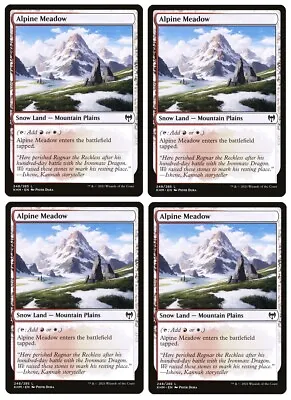 MTG - Kaldheim Snow Lands (Playsets Of 4) - Select From Drop Down Menu - M/NM • $4.98