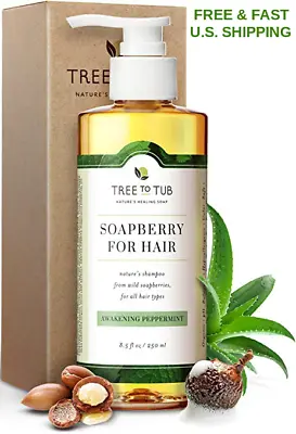ORGANIC Argan Shampoo Peppermint Essential Oil Itchy Sensitive Skin GENTLE SCALP • $32.97