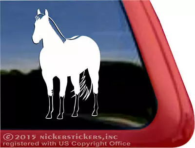 Dun Quarter Horse Trailer Window Decal • $8.99