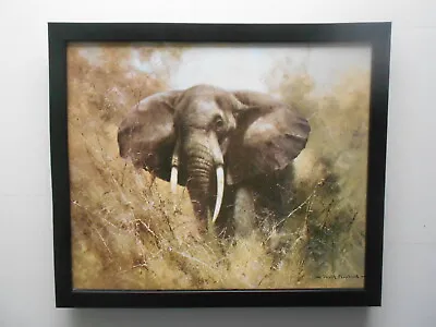 David Shepherd Print 'Luangua Bull' Elephant FRAMED • £25.95