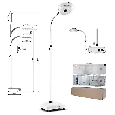 36W Dental Surgical Medical Exam Light Dental LED Operating Shadowless Lamp CE • $455