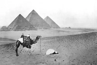 EGYPT. Hour Of Prayer; Pyramids Gizeh Cairo; Great Pyramid 1900 Old Print • £6