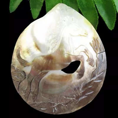 98x90x4mm Natural Abalone Shell Freeform Horse Decoration D75713 • $17.42