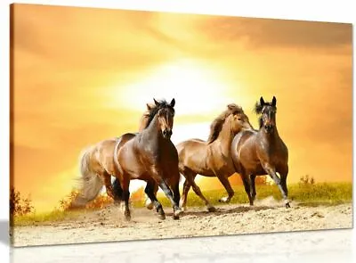 Running Wild Horses Sunset Canvas Wall Art Picture Print • £11.99