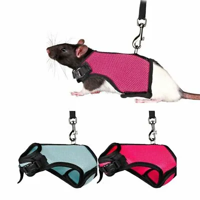 £6.38 • Buy Rat Vest Leashes  Set Small Pet  Supplies Chest Strap Rabbit Harness Leash