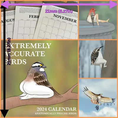 2024 Extremely Accurate Birds Calendar 21cmX21cm • £19.27