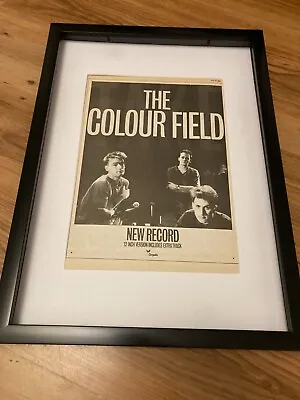 THE COLOUR FIELD (TERRY HALL)-Framed Original Poster Advert • £45