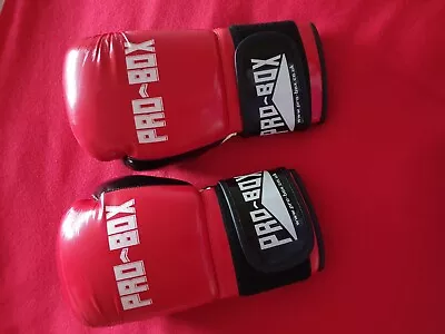 PRO-BOX Boxing Gloves 8oz • £12