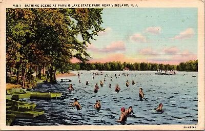 Postcard Vineland NJ Bathing Scene At Parvin Lake State Park Postcard • $2.99